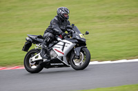 Silver_Grey Bikes